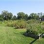 Little Silver Community Garden