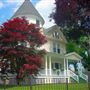 House #10295355