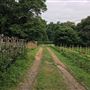 MacBain Farm Park