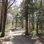 Cape May County Park North - Richard M. Cameron Wildlife Sanctuary