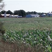 Brodhecker Farm