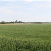Cumberland County Farm Roads - Stathems Neck Road, Greenwich Township