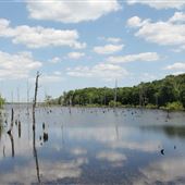 Manasquan Reservoir
