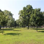 Bloomfield Green