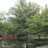 Knight Park