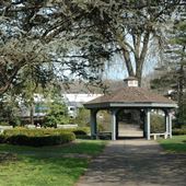 Taylor Park