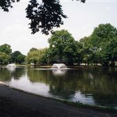 Meadowland Park
