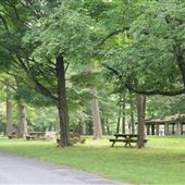 Washington Crossing State Park - Sullivan Grove Day Use Area