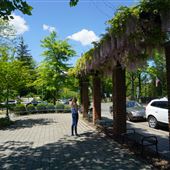 Princeton - Mercer Street Bus Stop