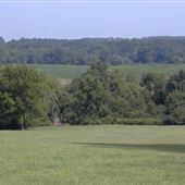 Monmouth Battlefield State Park