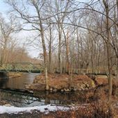 Ramapo Valley County Reservation - Silver Trail/Scarlet Oak Pond