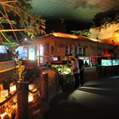 Jenkinson's Aquarium