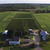 DiBella Winery