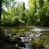 Buttzville - Pequest River