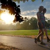 Forest Road Park