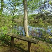 Rancocas Nature Center