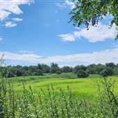Union County Quarry