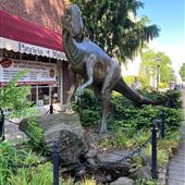Lantern Lane Shops and Park