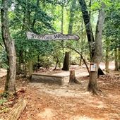 Stafford Woods