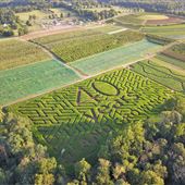 Alstede Farms