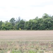 DeBois Creek Recreation Area