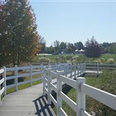 Joseph Medwick Park