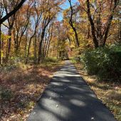 Maple Avenue Trails