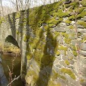 Charleston Spring Trail