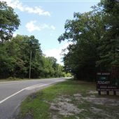 Cape May County Rt. 550 - Woodbine