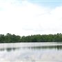 Wharton State Forest - Atsion Recreation Area