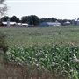 Brodhecker Farm