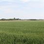 Cumberland County Farm Roads - Stathems Neck Road, Greenwich Township