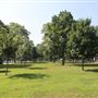 Bloomfield Green