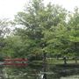 Knight Park