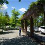 Princeton - Mercer Street Bus Stop