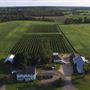 DiBella Winery