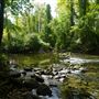 Buttzville - Pequest River