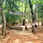 Stafford Woods