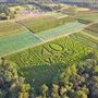 Alstede Farms