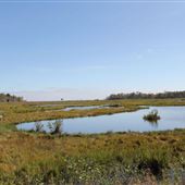 Cattus Island County Park