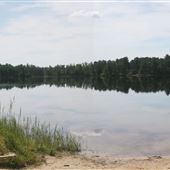 Wharton State Forest - Lake Oswego