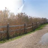John C. Bartlett, Jr. County Park at Berkeley Island