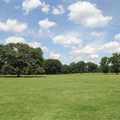 Branch Brook Park Meadows