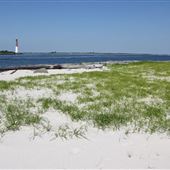 Island Beach State Park - Barnegat Inlet