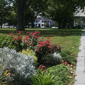 Potter Park