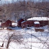 Bittersweet Valley Farm