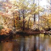 Flat Rock Brook Nature Center