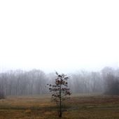 Campgaw Mountain Reservation