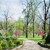 Verona Park