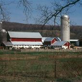 Sussex County Farm Roads - Halsey Road, Hampton Township